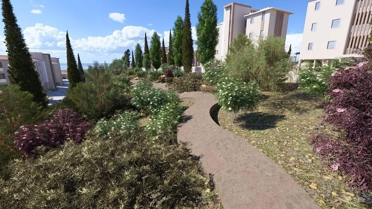 - Image 1