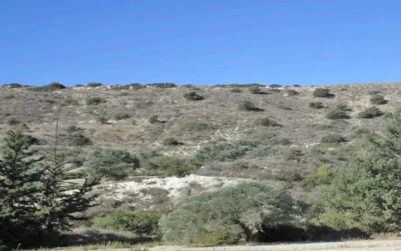  - Image 1
