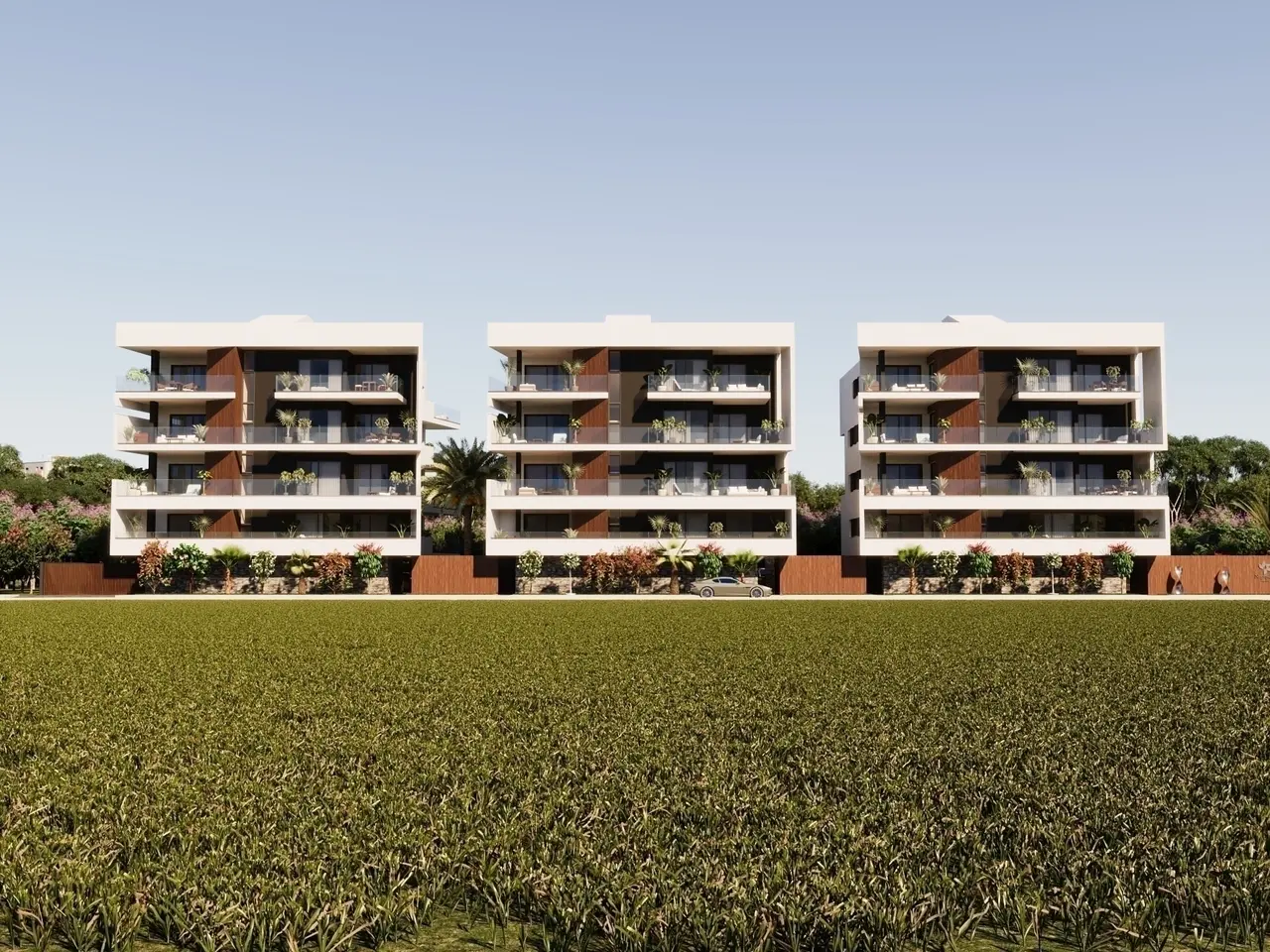  - Image 1