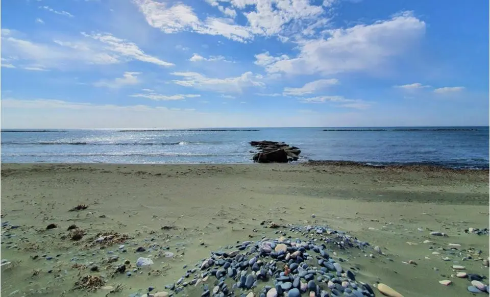  - Image 1