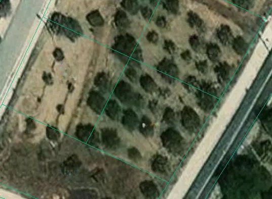 - Image 1