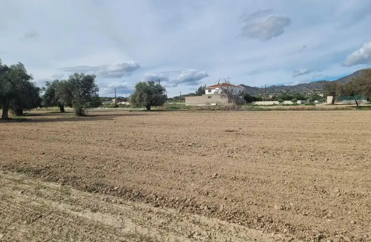  - Image 1
