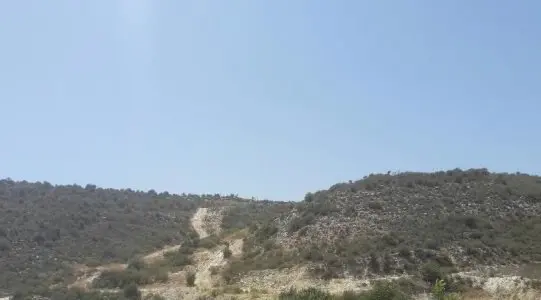  - Image 1