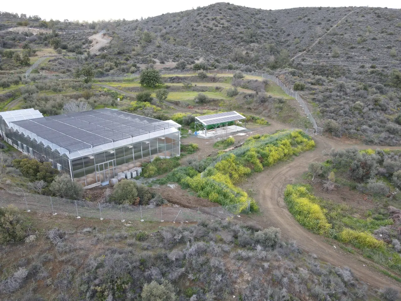 - Image 1