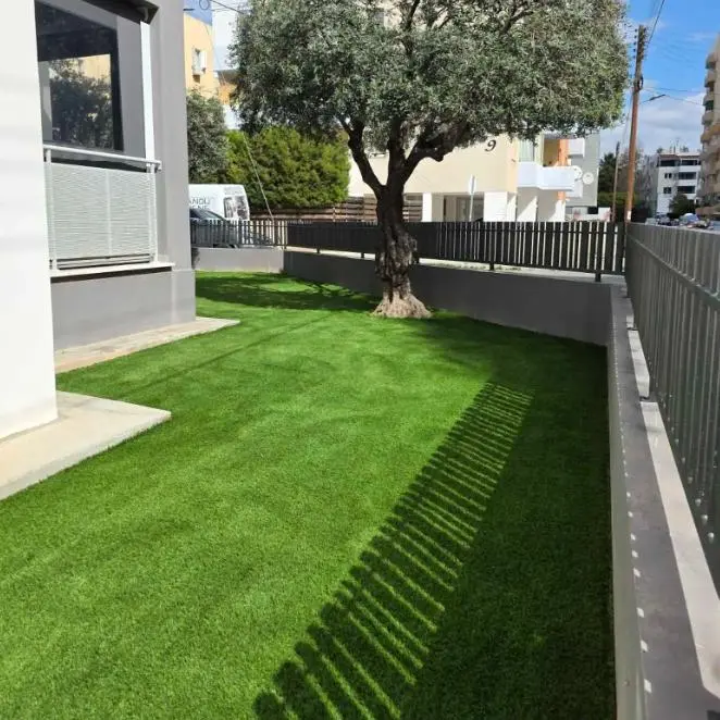 - Image 1