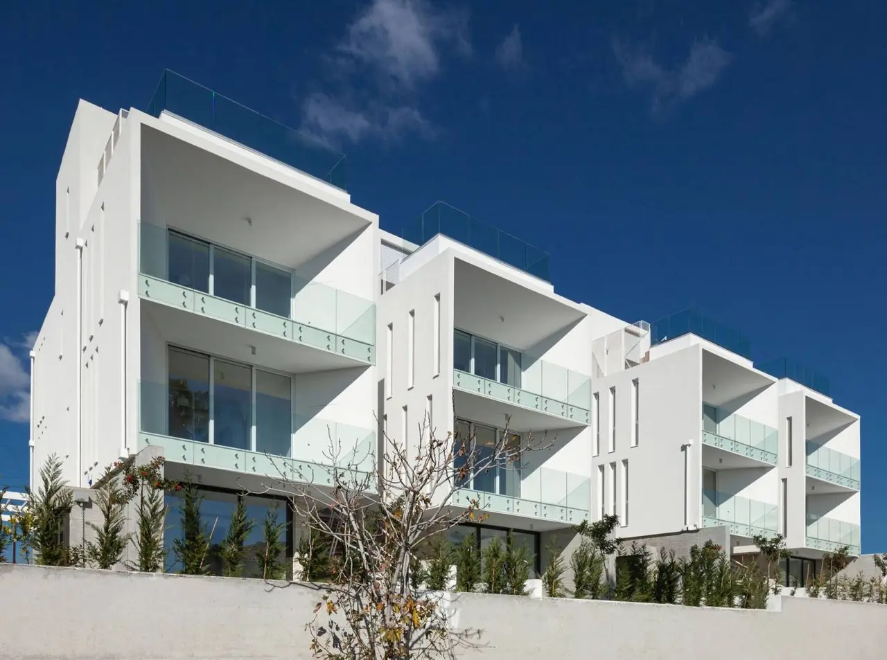  - Image 1