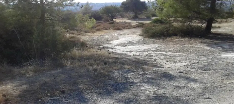  - Image 1