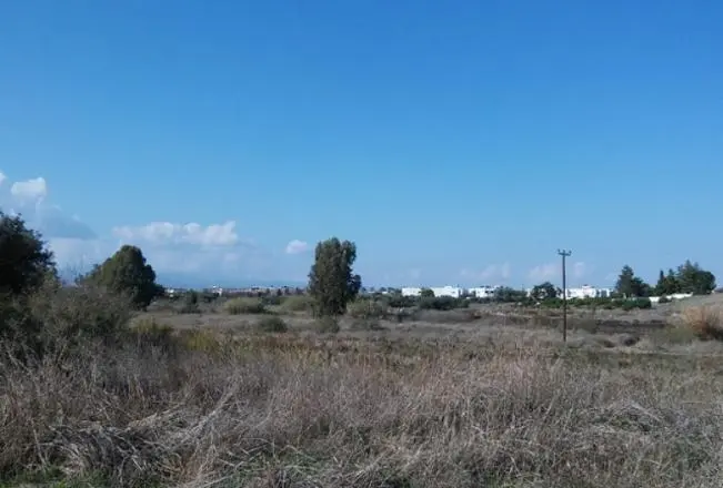  - Image 1