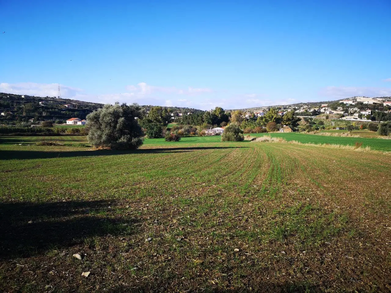  - Image 1