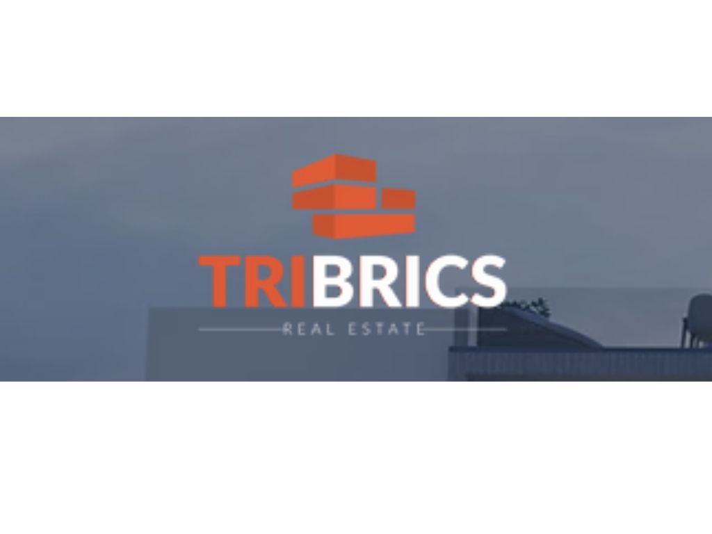 Tribrics development