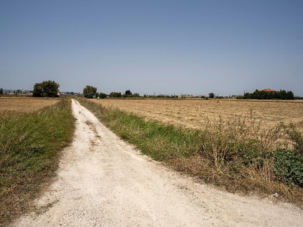 Компания Altamira запустила новую грандиозную акцию