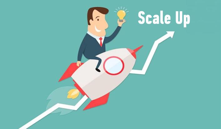 Scale business. Лессон ап. Лесон ап. Scale up.