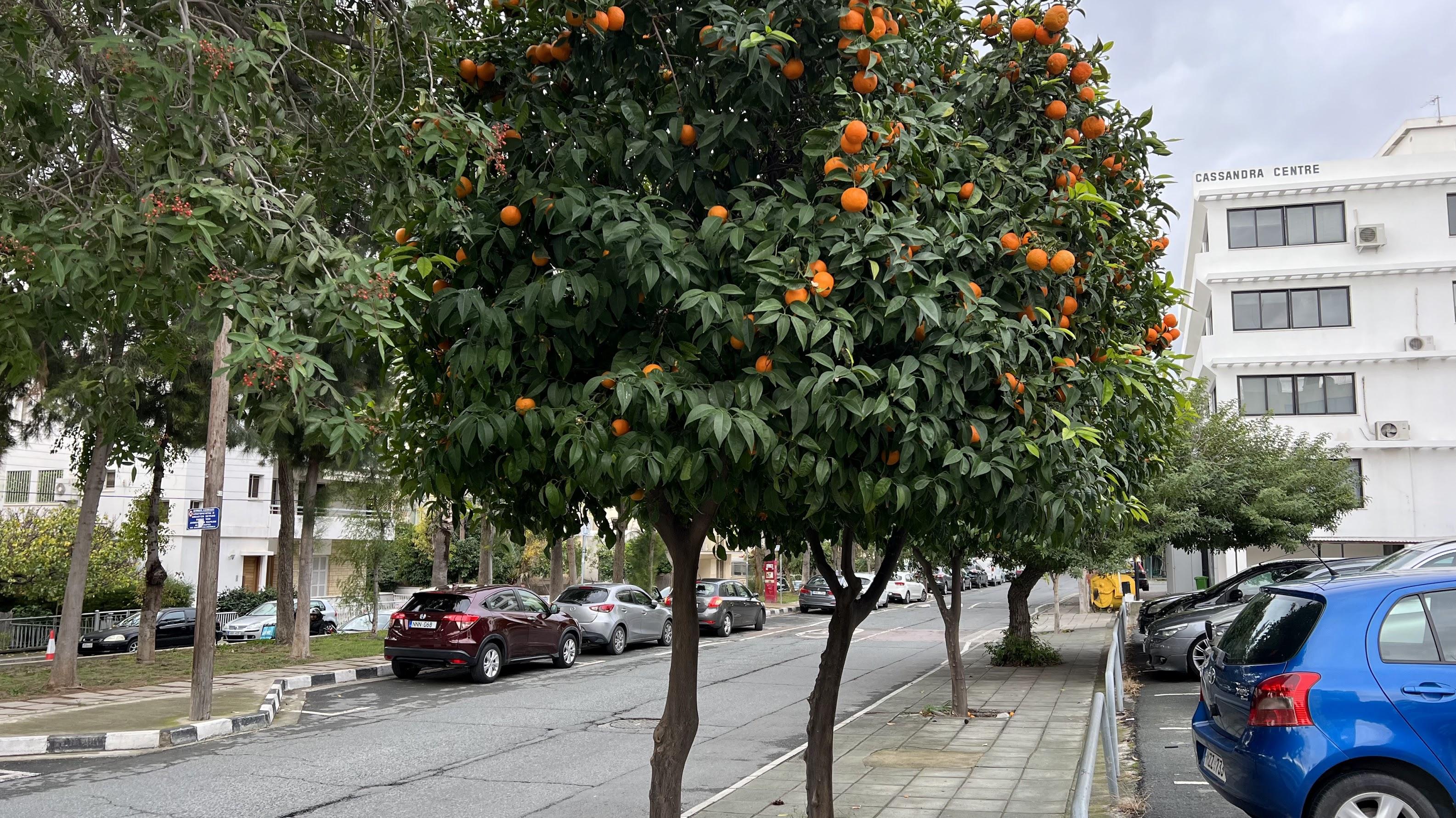 В январе продажи недвижимости на Кипре выросли на 28%