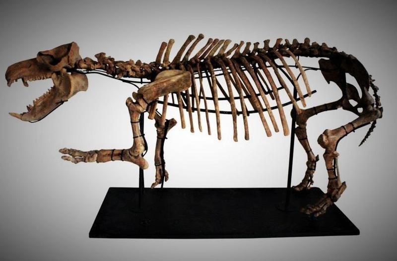 На Кипре откроют Центр орнитофауны и наземной флоры Акамаса