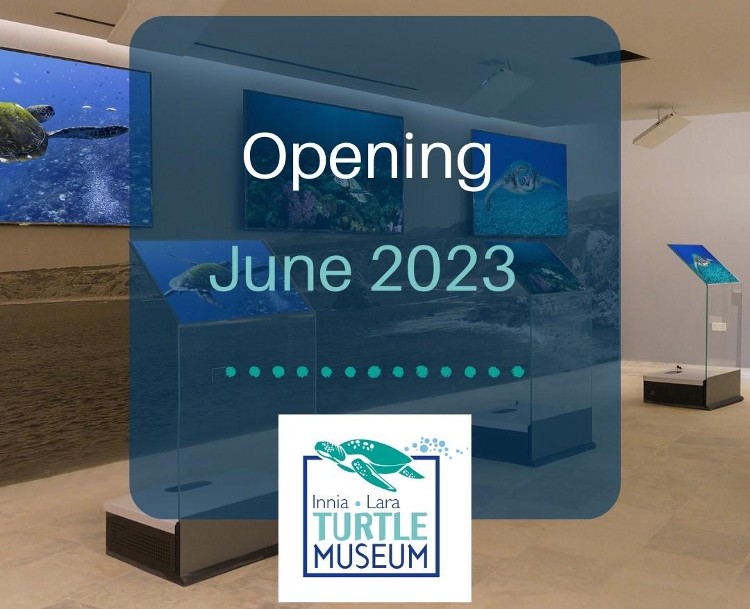 На Кипре открыли музей черепах