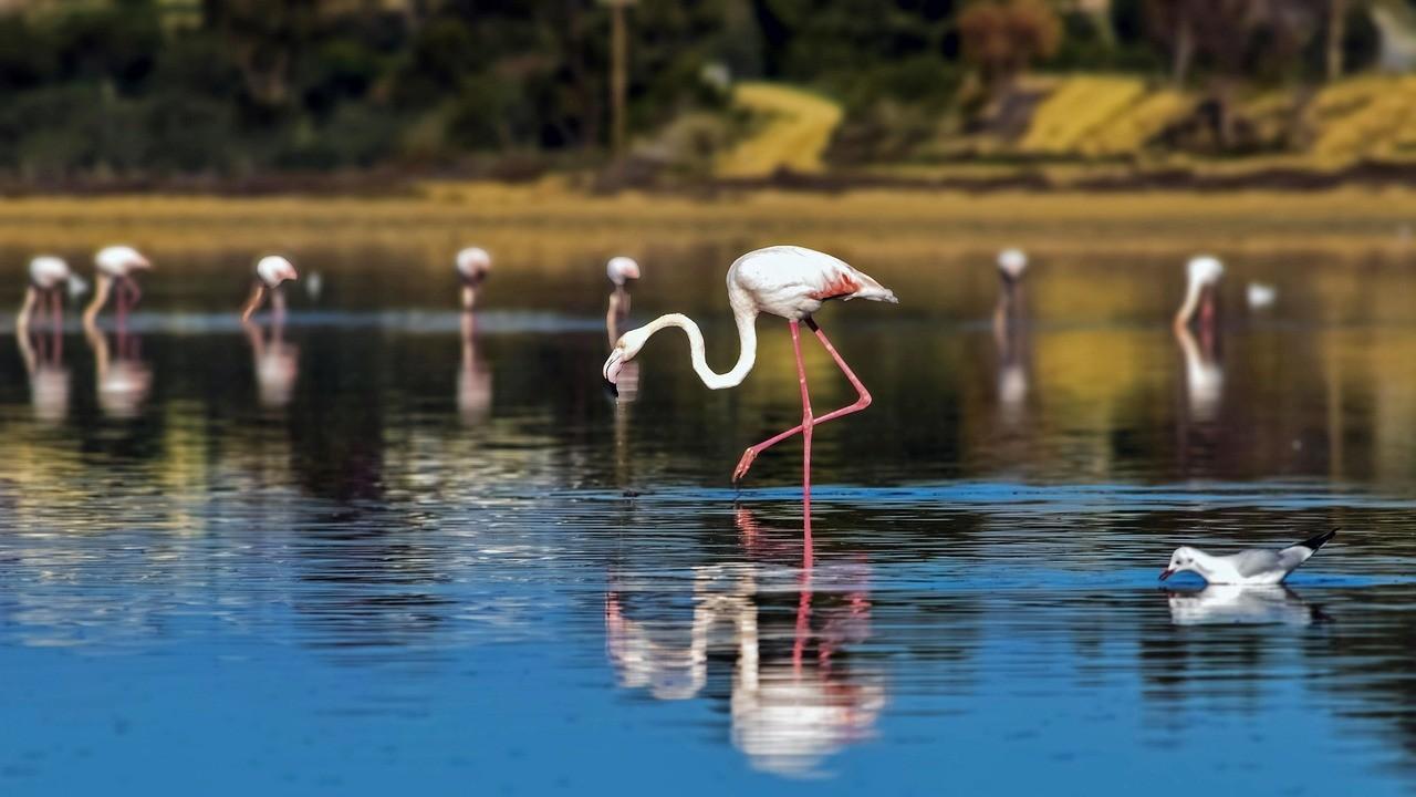 Фото 3