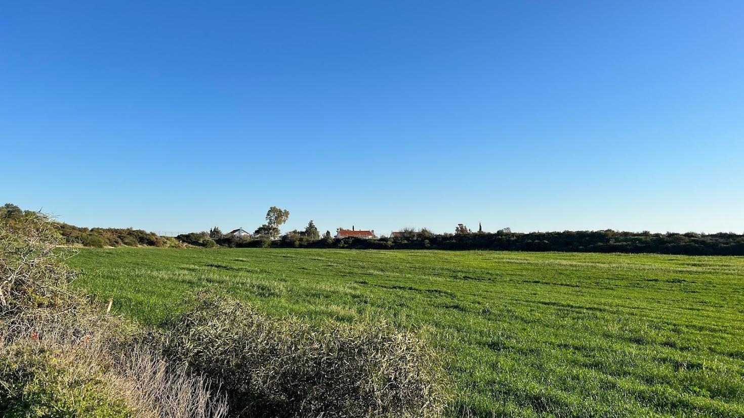 Объем сделок с земельными участками и полями на Кипре превысил 360 млн евро