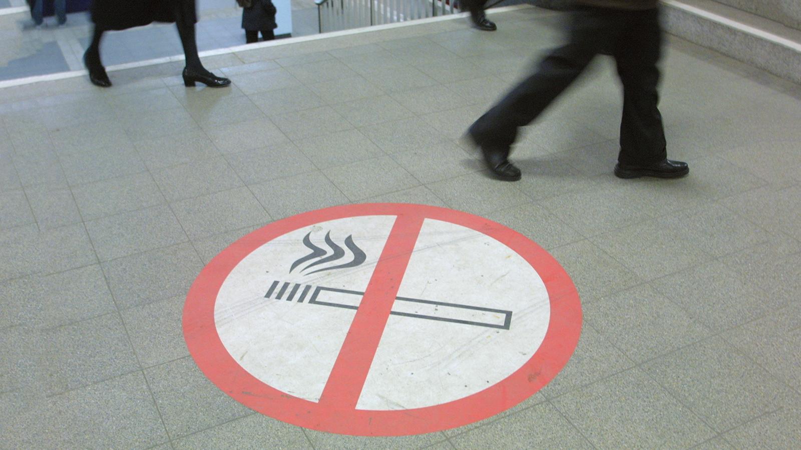 Фото 4 Фото 4