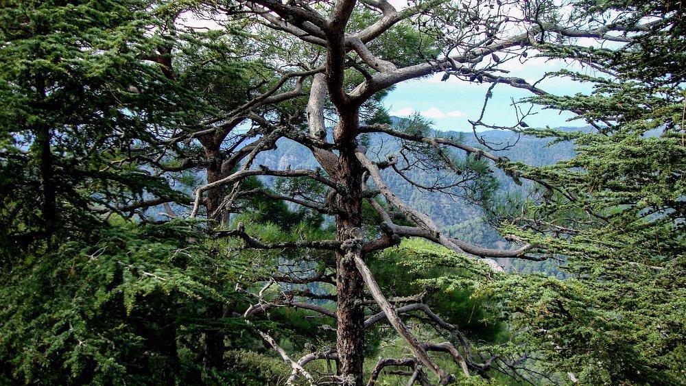 Фото 3 Фото 3