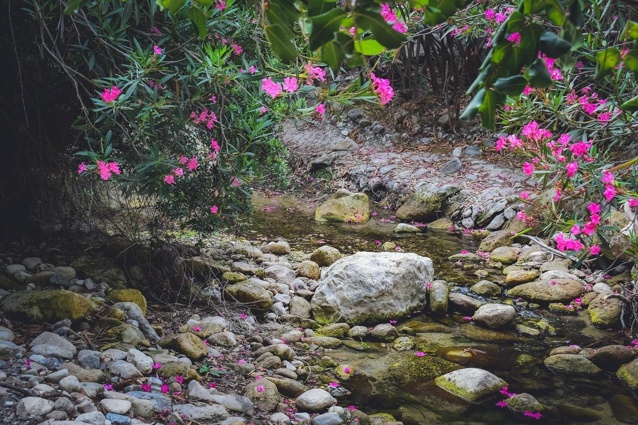 Фото 17 Фото 17