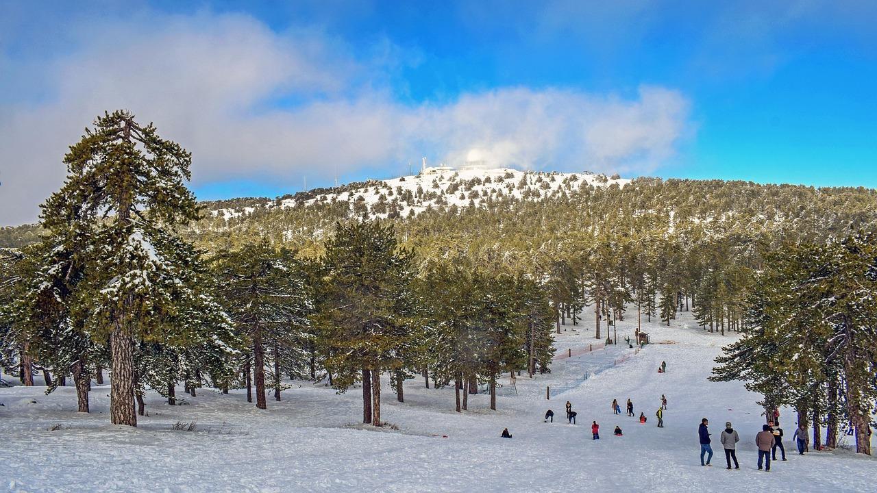 Фото 5 Фото 5