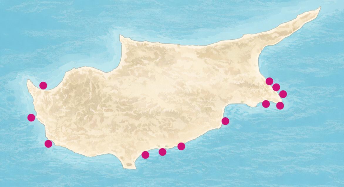 Фото 3 Фото 3