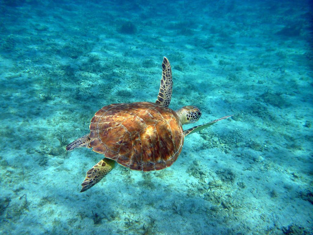 Фото 12 Фото 12