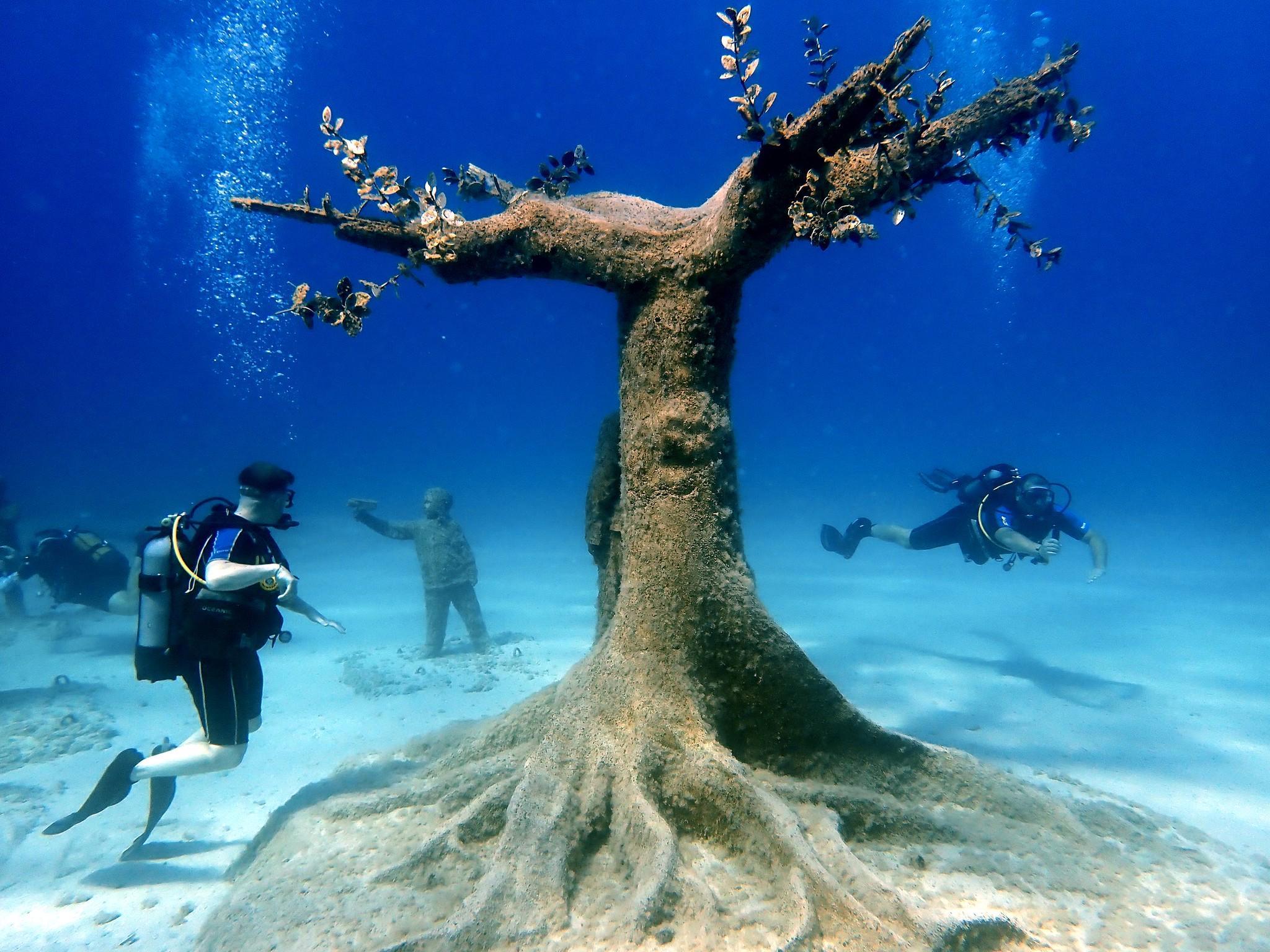 Фото 14 Фото 14