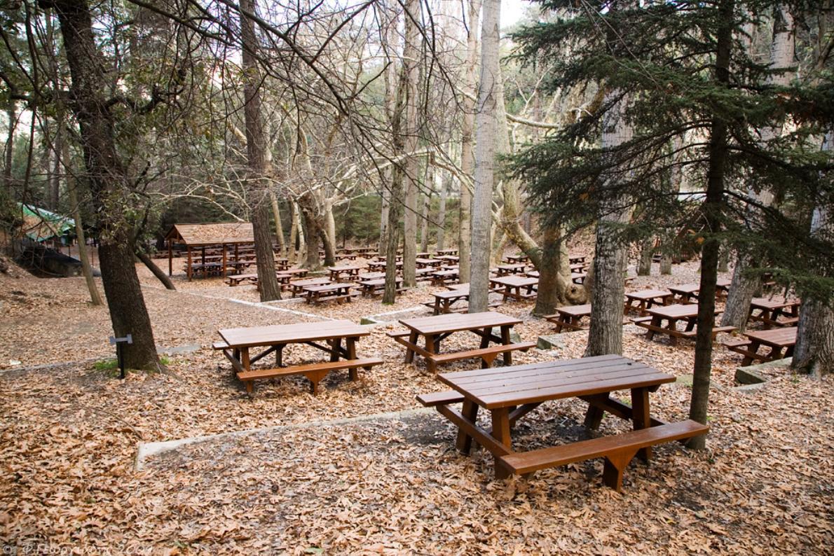 Фото 5 Фото 5