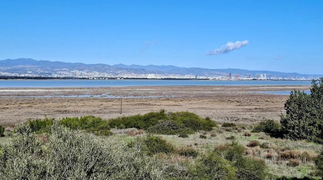 В Лимассоле может появиться большой морской аквариум за 10 млн евро