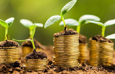 Number of Investment Organizations and Their Assets Growing in Cyprus