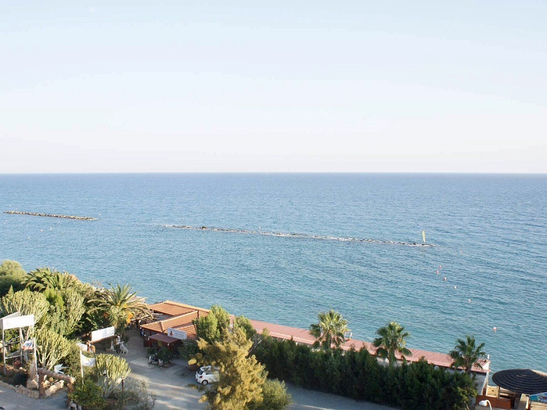 Coco De Mer