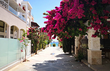 What are luxury houses and apartments the most demand in Cyprus? 