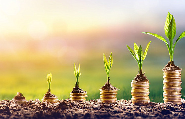 На Кипре зарегистрировано рекордное количество инвестиционных компаний