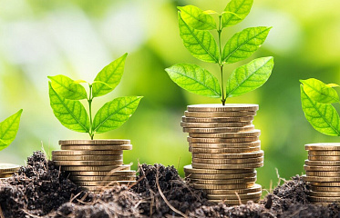 Number of new investment organisations and their assets in Cyprus is steadily increasing