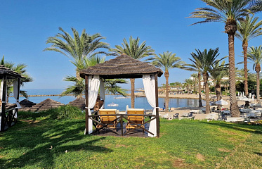 To Buy or to Sell: Current Trends in the Cyprus Real Estate Market