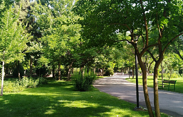 В Никосии создадут крупнейший парк на Кипре