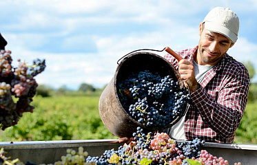 Unique Theme Park Project Sent for Revision in Cyprus