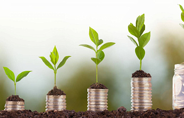 Investment Fund Assets in Cyprus Growing at Record Pace