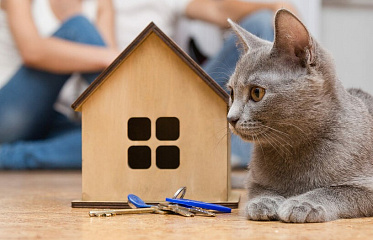 Estia: Mortgage Subsidy Program Fell Short of Expectations