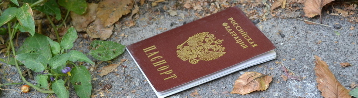 Потерял паспорт на Кипре: что делать и куда обращаться — инструкция