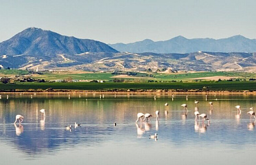 Larnaca Municipality promotes the construction of a new Environmental Information Centre