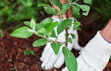 Grand Opening of New Park Takes Place in Nicosia