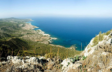 В Акамасе обнаружили 25 незаконных построек