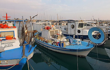 На Кипре появится уникальный Музей рыболовства