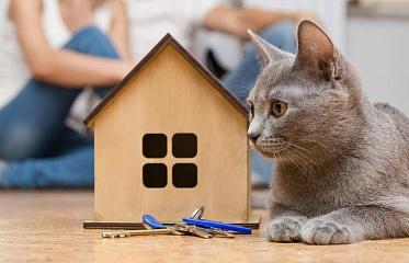 Жители Кипра стали реже оформлять ипотечные кредиты