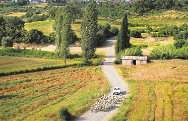 Foreigners Will Be Allowed to Purchase No More Than Two Land Plots in Cyprus