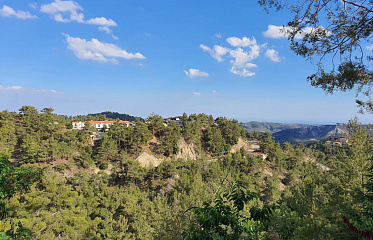 В Платресе после реновации открылся знаменитый отель Semiramis Lodge