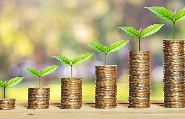 На Кипре выросло количество инвестиционных организаций