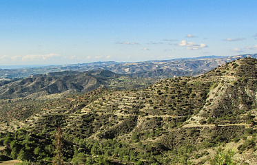 Чем заняться в Пафосском лесу. Кедровая долина и муфлоны